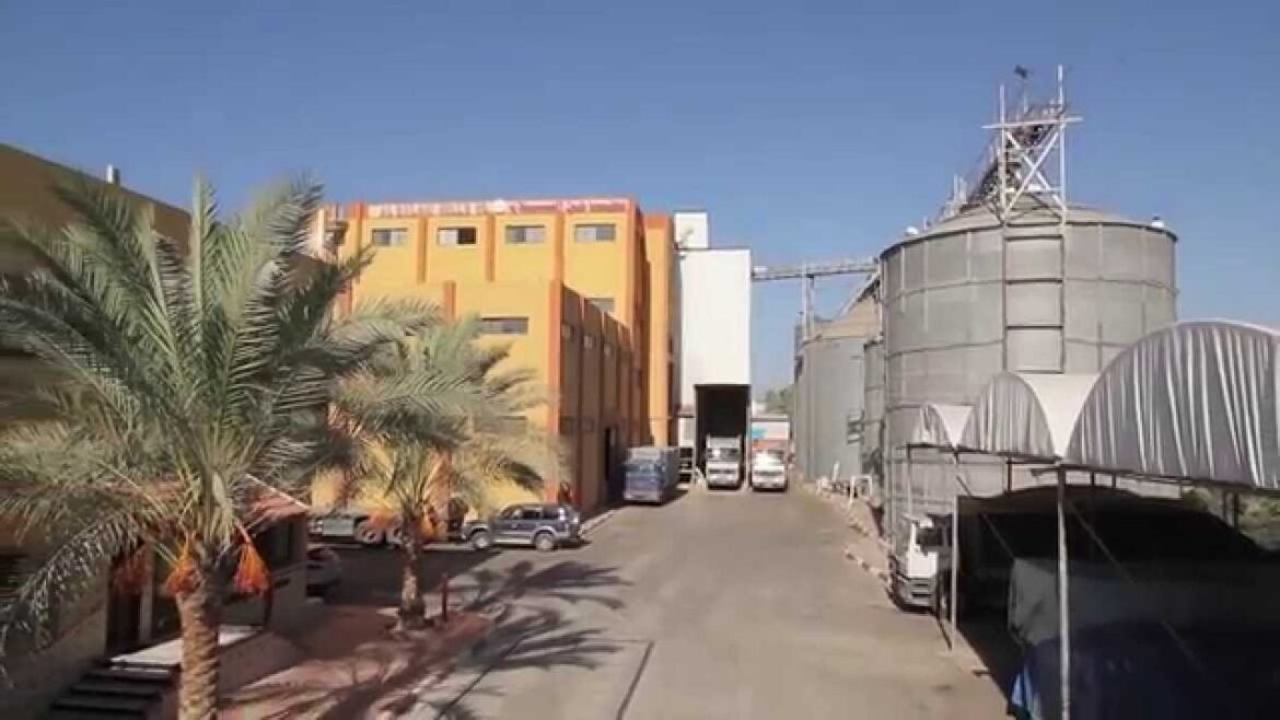 “مطاحن-الإسكندرية”-تربح-46.5-مليون-جنيه-خلال-العام-المالي-الماضي