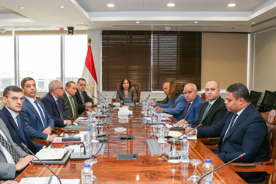 «الإسكان»-تنتهى-من-81.8%-من-مبادرة-«سكن-لكل-المصريين»